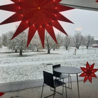 Winterbild